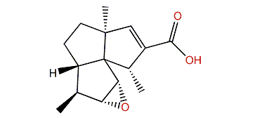 Epoxysubergorgic acid